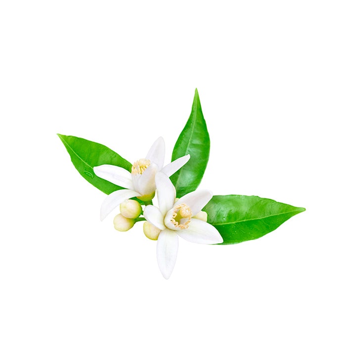 Neroli - Aloha